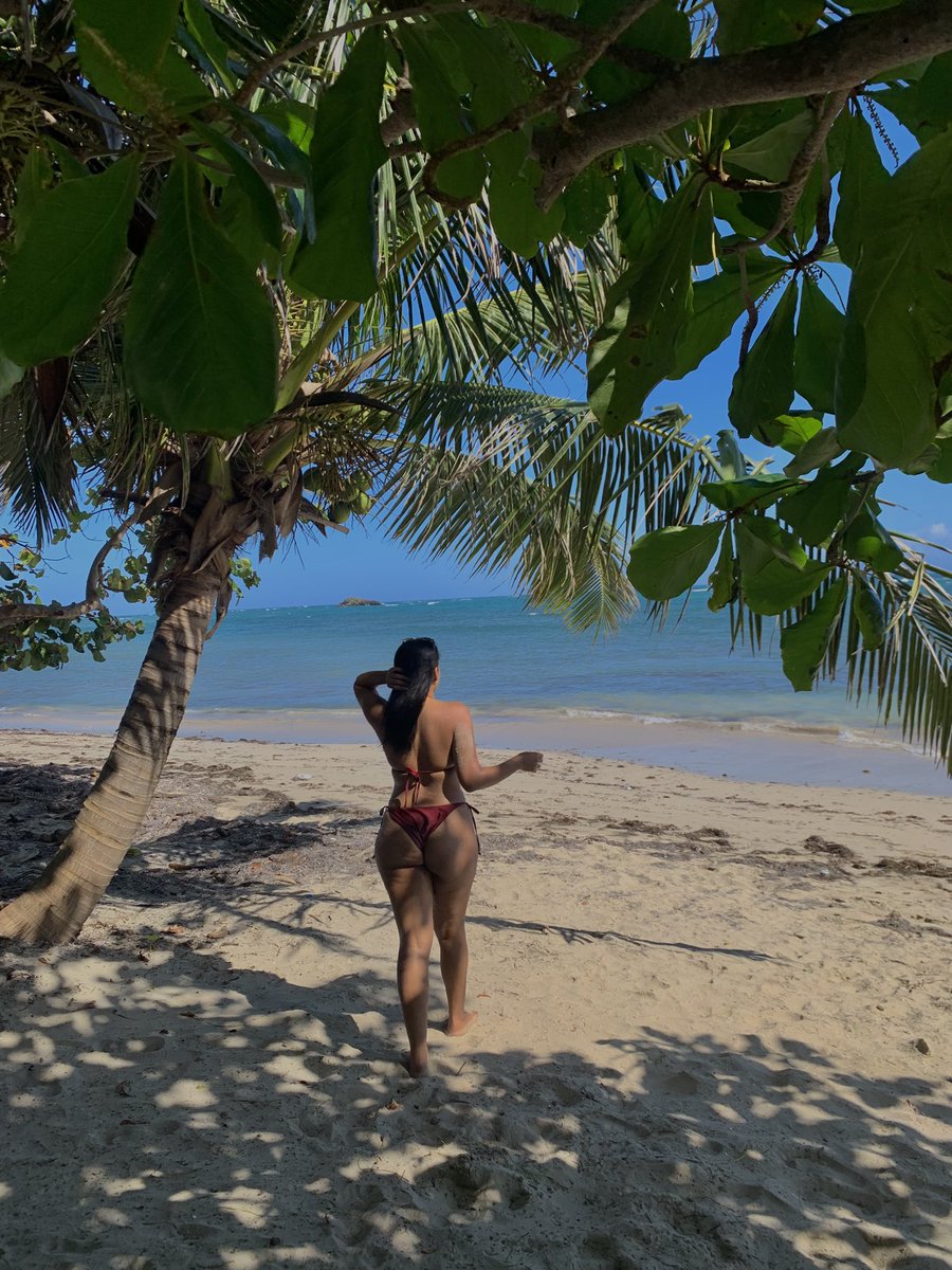 Necesito mudarme para puerto plata