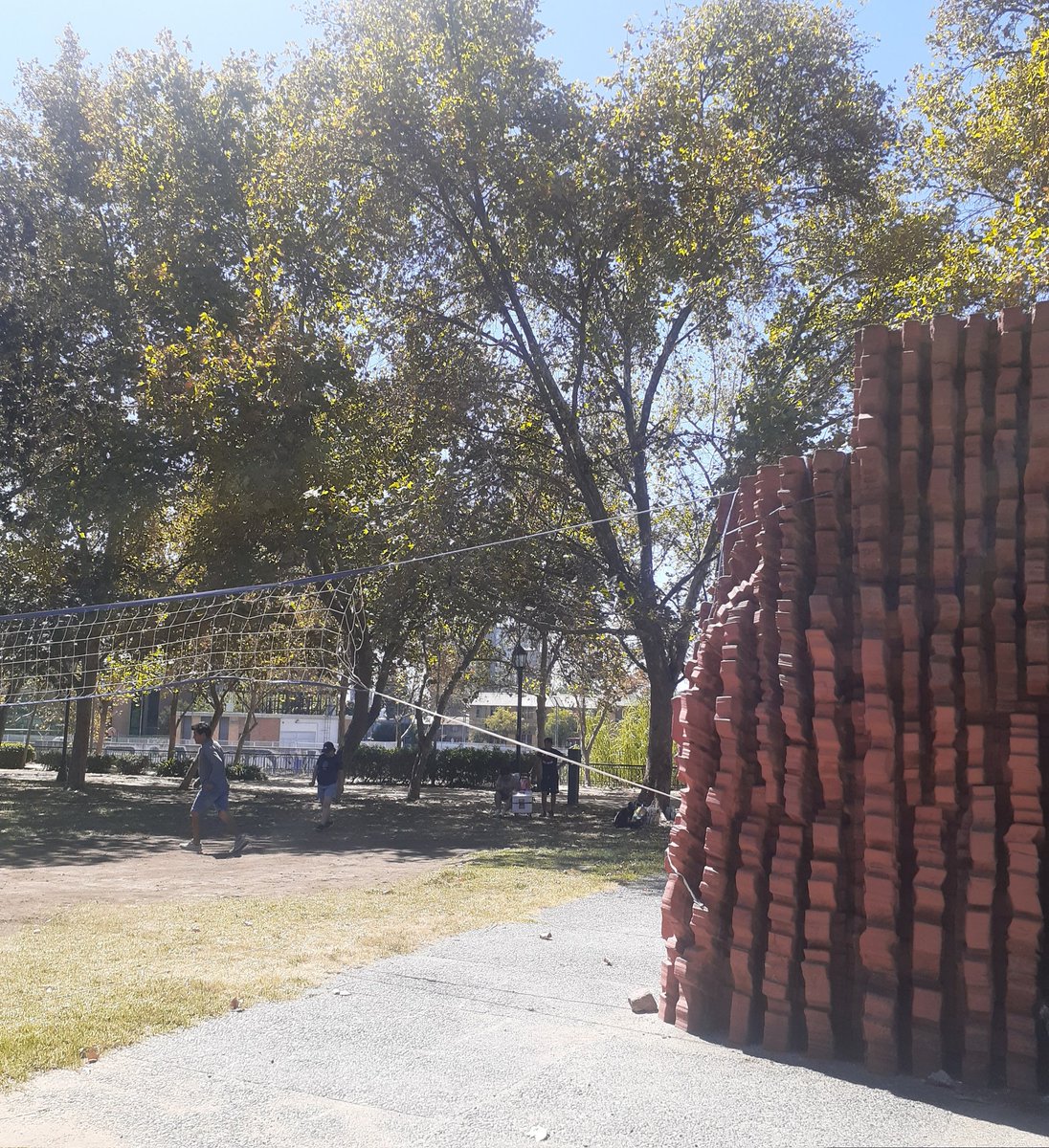 Alejandro Vinyl tweet media