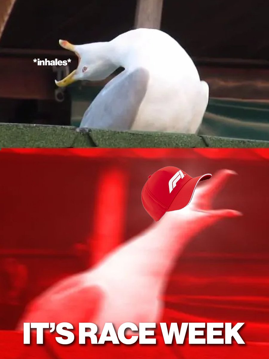 The Race tweet media