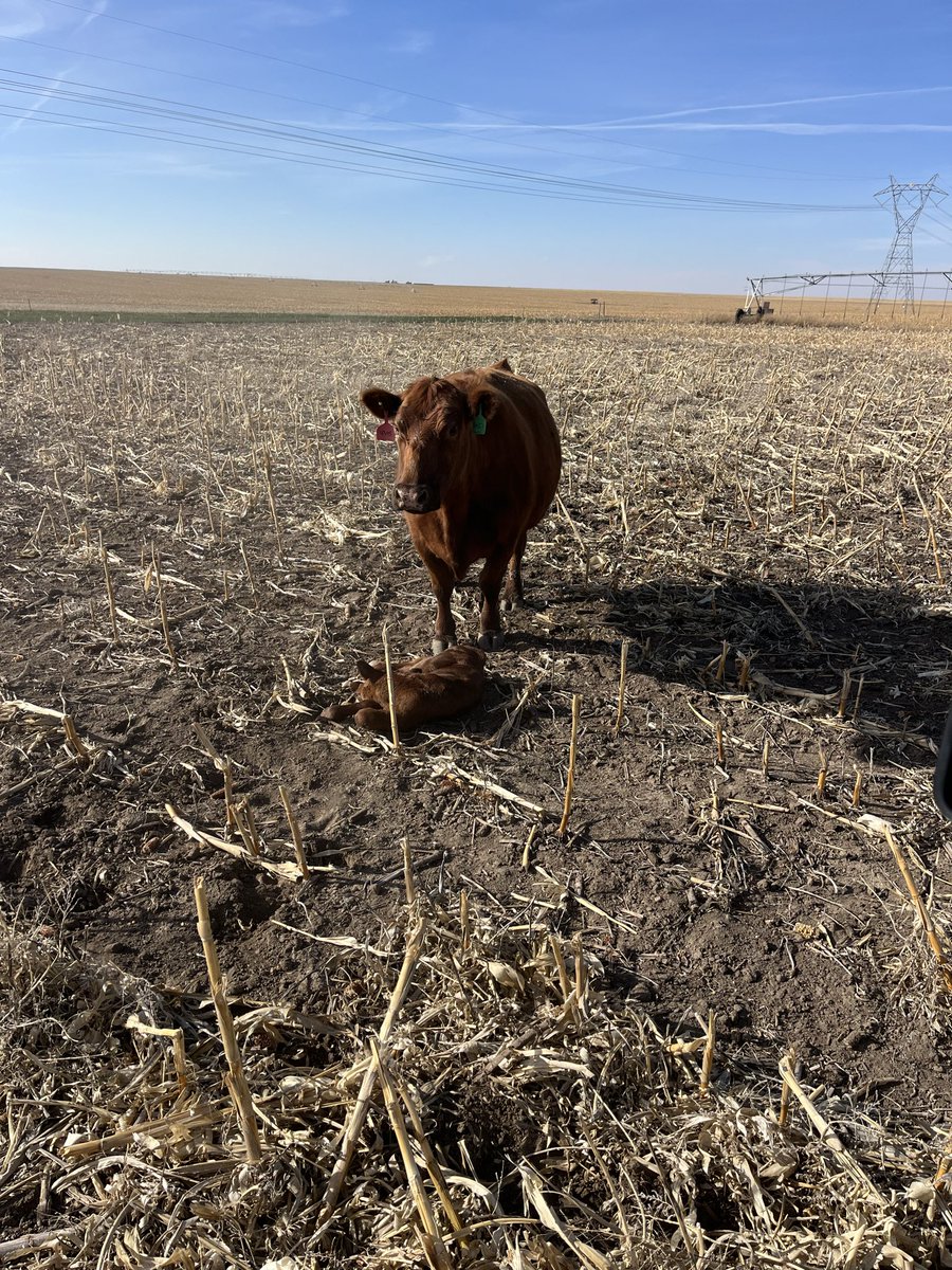 Jerrad Zerr tweet media