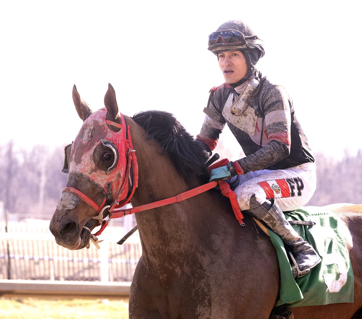 The Maryland Jockey Club, Inc. tweet media