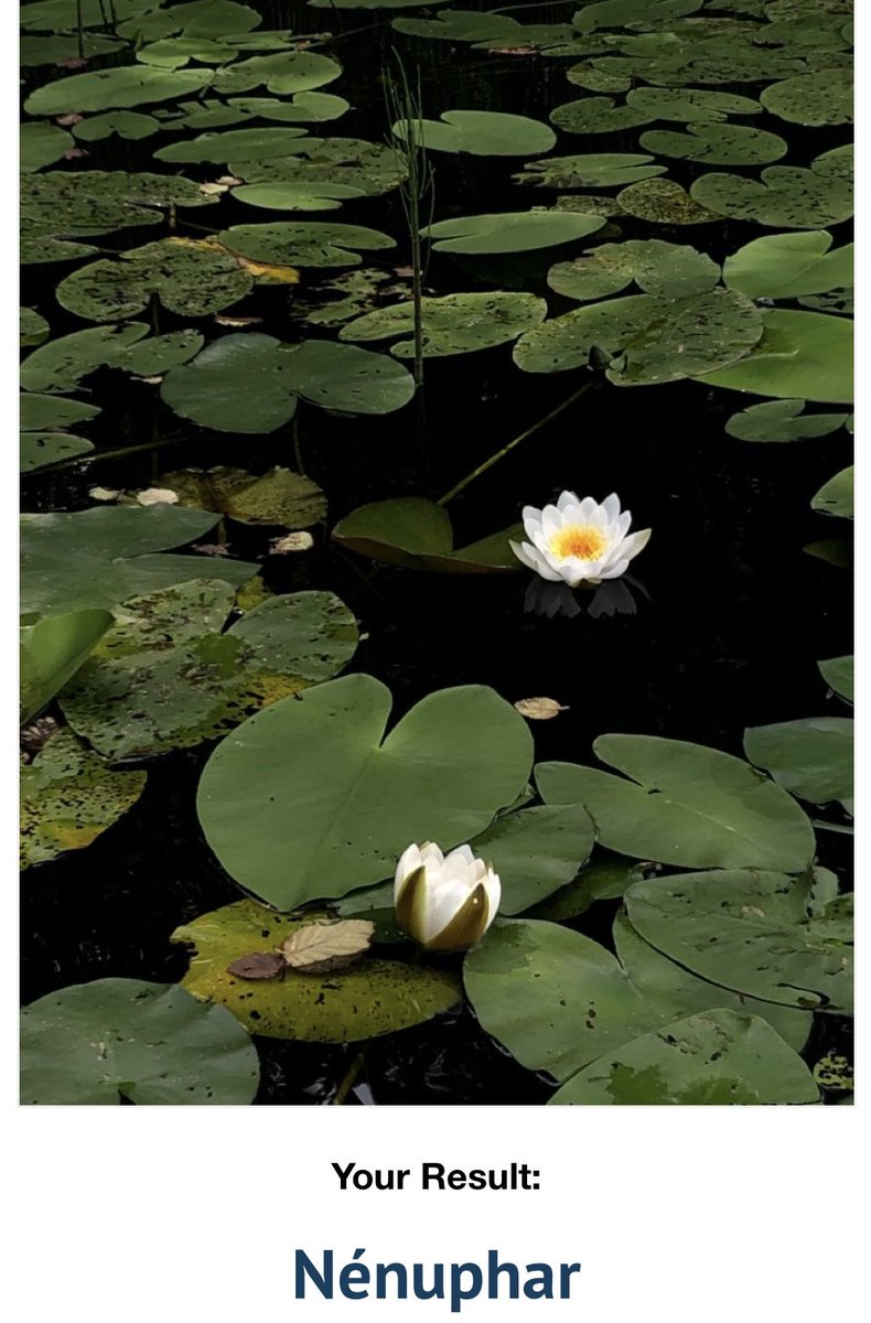 ₂₂₂ tweet media