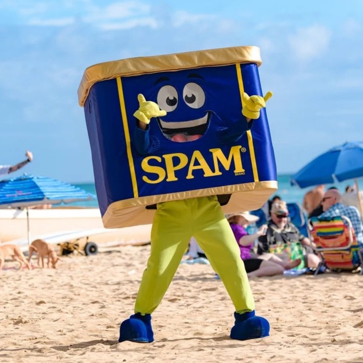 WaikikiBeachWlk's tweet image. We can’t wait for @waikikispamjam to take over Waikiki again in 2026 🎉💛

Save the date for the SPAM JAM Block Party:
📅 Saturday, April 25, 2026
🕓 4:00 to 10:00 PM

#WaikikiSpamJam #SPAM #Waikiki #WaikikiBeachWalk #HawaiiEvents