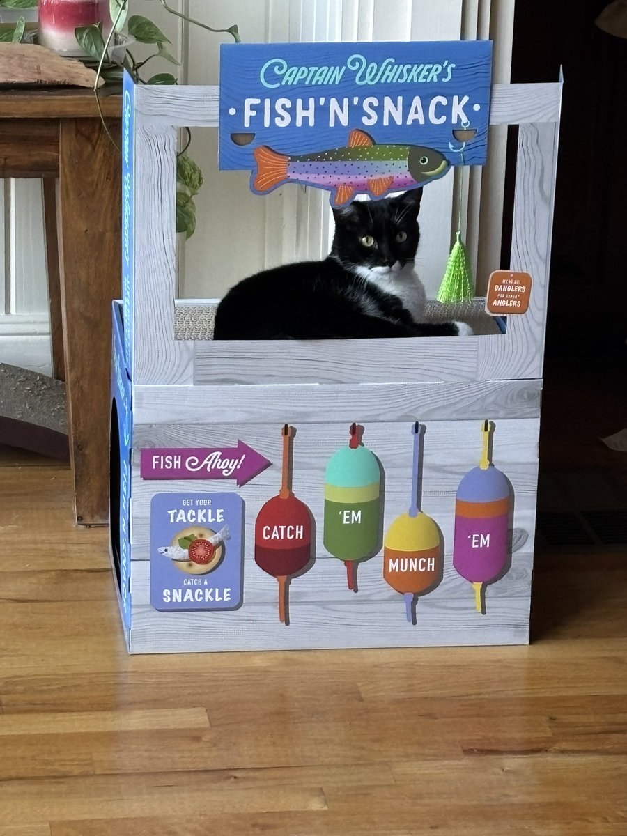 brian_rifkin's tweet photo. Salty has already picked his favorite for #NephMadness #TeamCat 🐈‍⬛
Cats rule and dogs drool 🐕‍🦺
@Dog4NephMadness https://t.co/HxyuPipPk8