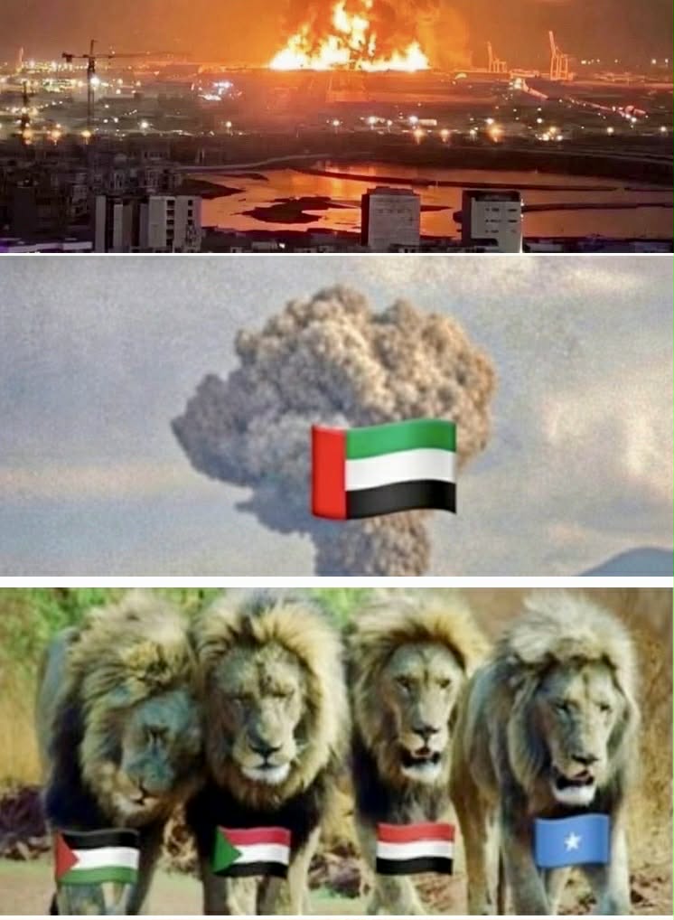 HayowAli's tweet photo. Who else is cheering and this moment and feels the same way.? 

As we know, the biggest enemy of Muslim countries today is the kingdom of the devil satan UAE. 

We fully welcome that they perish at the hands of the Islamic Republic of Iran. 🇮🇷 💪🏿 https://t.co/XB9igKjI5U