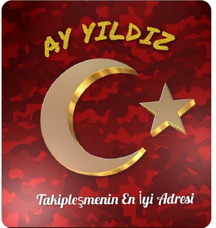 Zübeyde tweet media