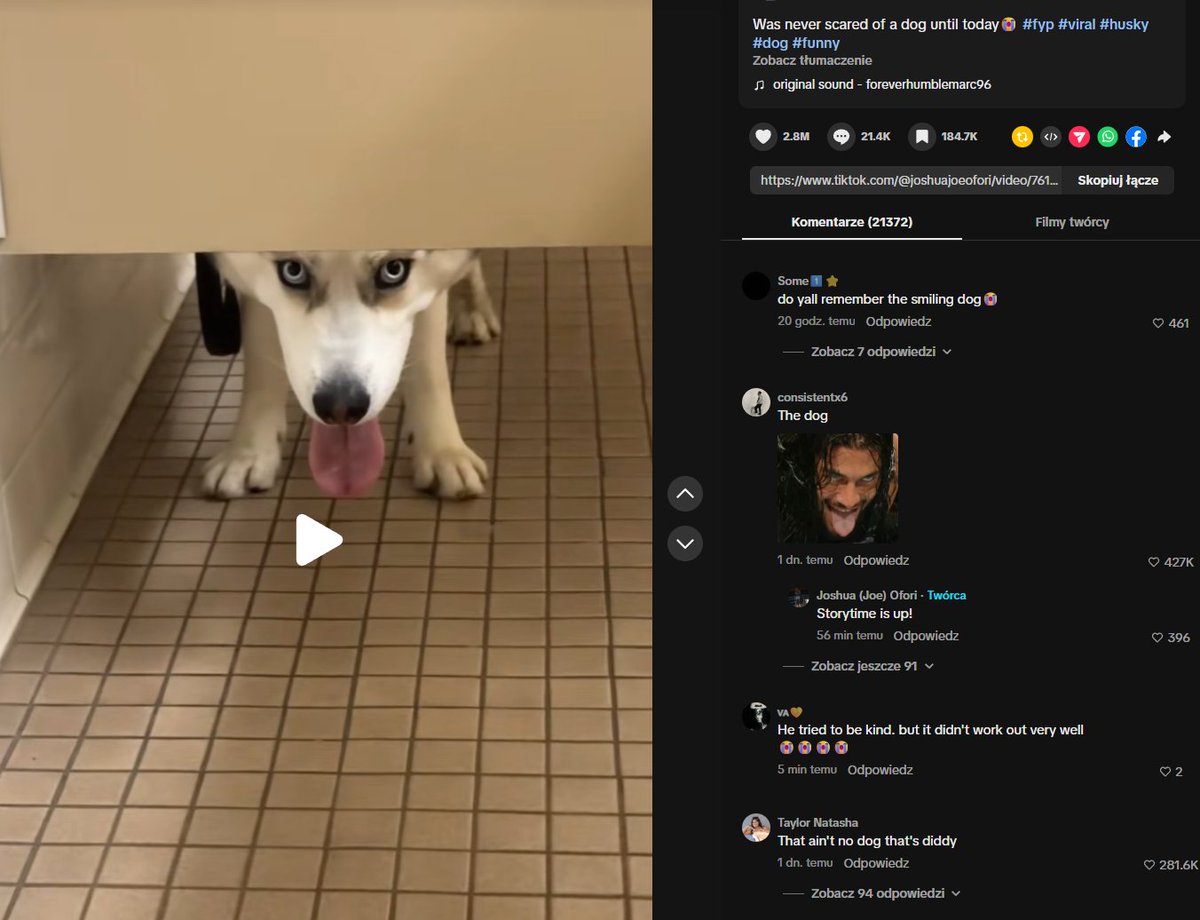 dévôir🥖 tweet media