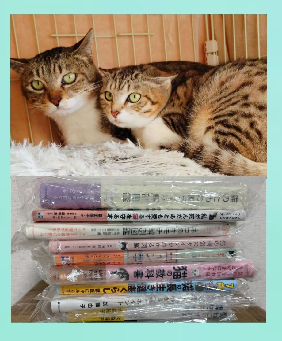 パーシー (@percypercy77) / Posts / X