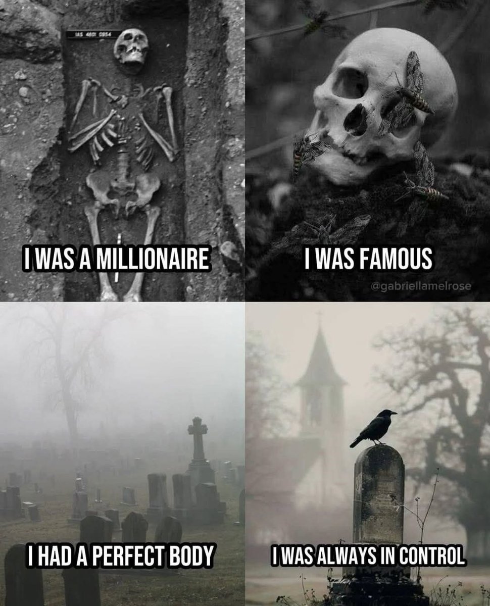 Mindful Maven (@mindfulmaven_) on Twitter photo 