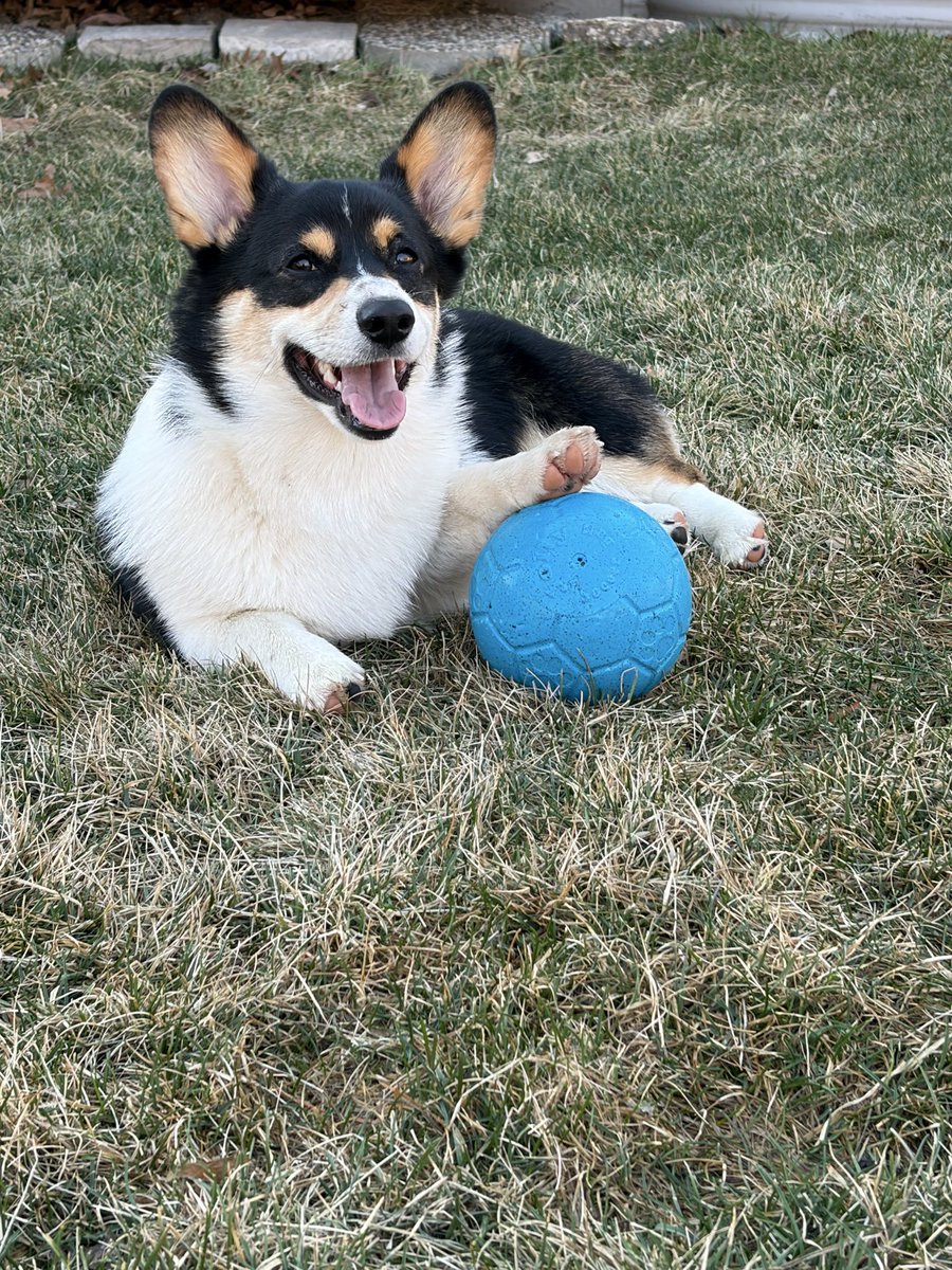 Andy Falcón tweet media