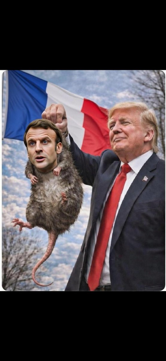 juan-pedro tweet media