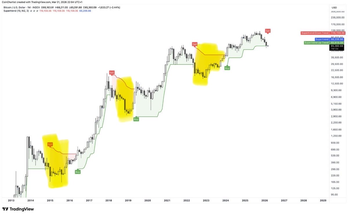 Bit Paine ⚡️ tweet media
