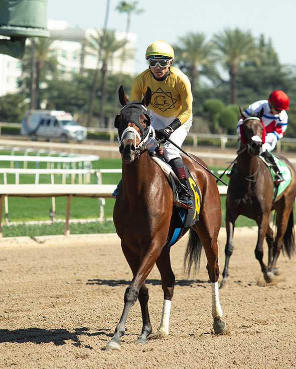 Brian Beach tweet media