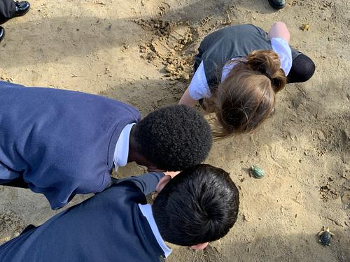 LAParnwell's tweet photo. What a wonderful first week back! 🌟
Year 3 had a brilliant time discovering Nim’s Island and hidden treasure buried in the sandpit! 🏝️✨
They’re already excited to explore the story further. 📖💛#Year3 #ParnwellPrimary #TeamParnwell  #NimsIsland #BookReveal #ParnwellReads https://t.co/kyTs6W58G5