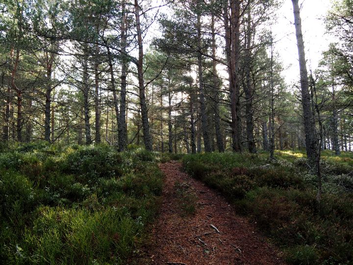 Catriona Roberts tweet media