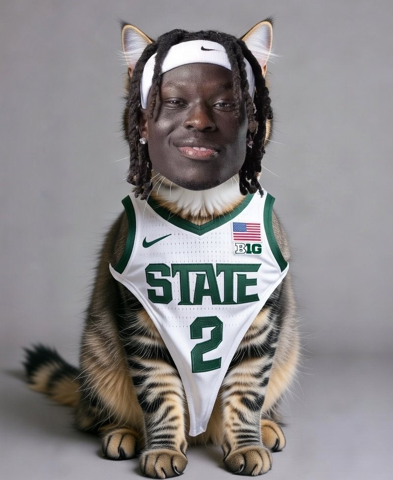 MSUGruff's tweet image. Purr Teng