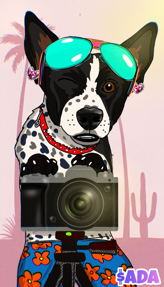 Happy Sunday from $ADA

Go help some shelter dogs this week!