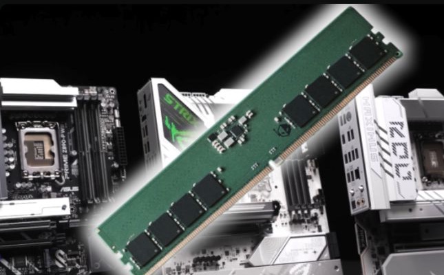 Pirat_Nation 🔴 tweet media