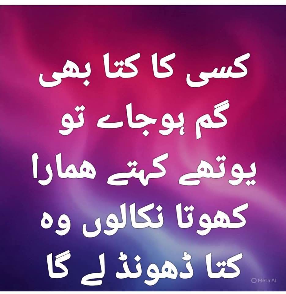 Parvez Baig 🍁 🇨🇦 tweet media