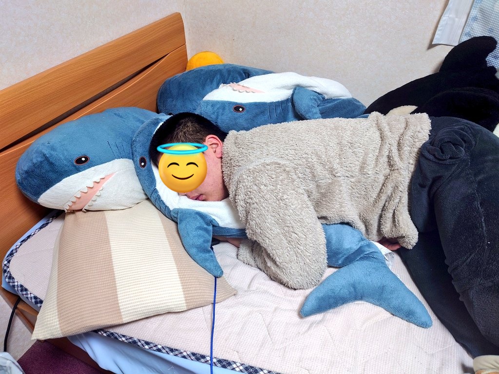 おはようございますIKEAがニトリに負けて日本撤退したら一番困るであろう人がここにいます。
#全日本ｻｯﾒお救い教🦈