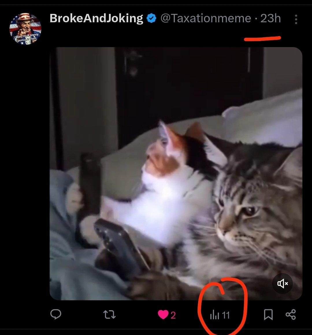 BrokeAndJoking tweet media