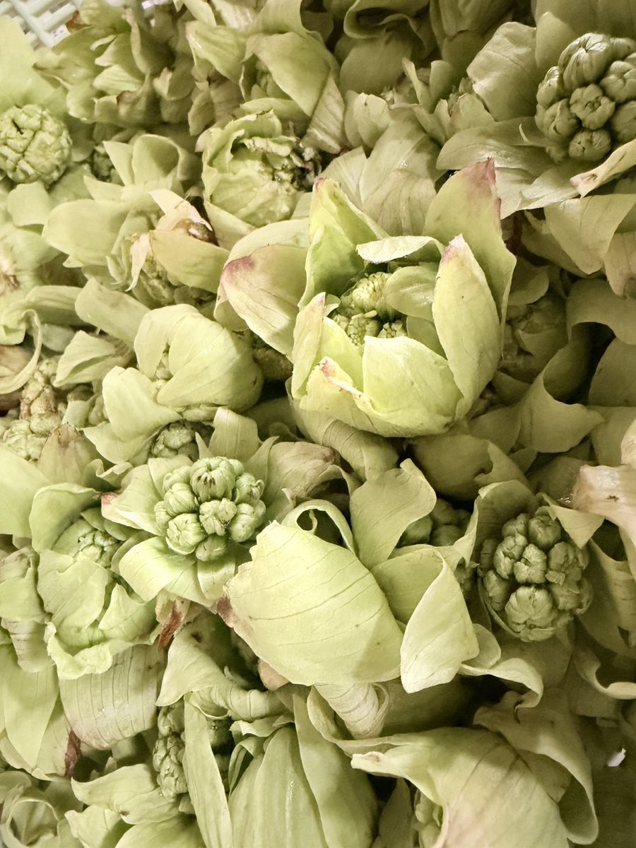 西濃運輸【公式】 (@seinocorporatio) / Posts and Replies / X