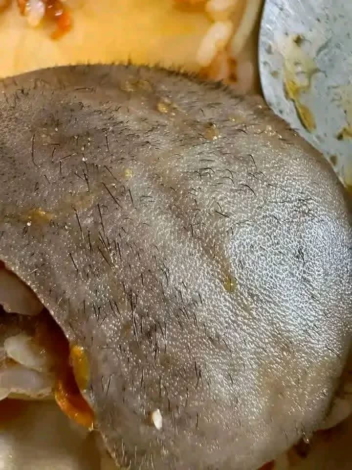 What type of meat is this ?