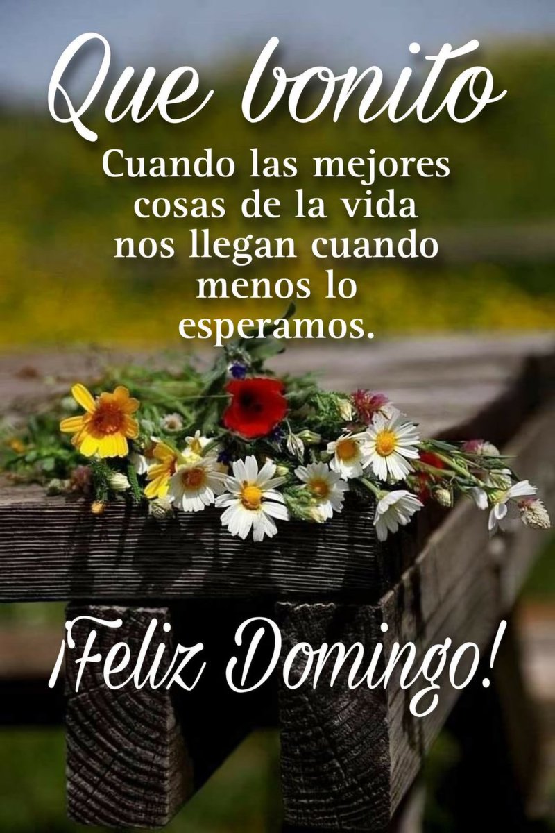 CKadaffy tweet media