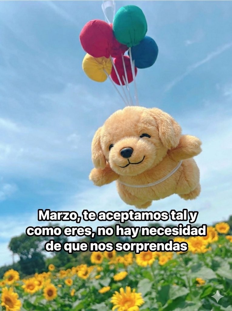 DiloConPerritos's tweet photo. Marzo https://t.co/xNLGAAbOw7