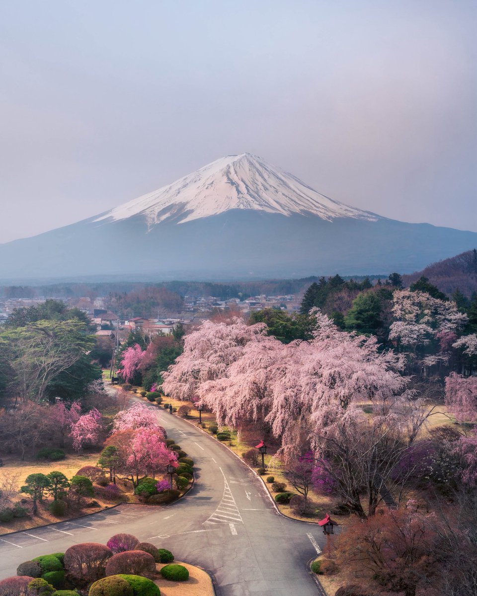 𝓨𝓪𝓼 ☽ ✳︎ (@0_skyblue) / Posts / X