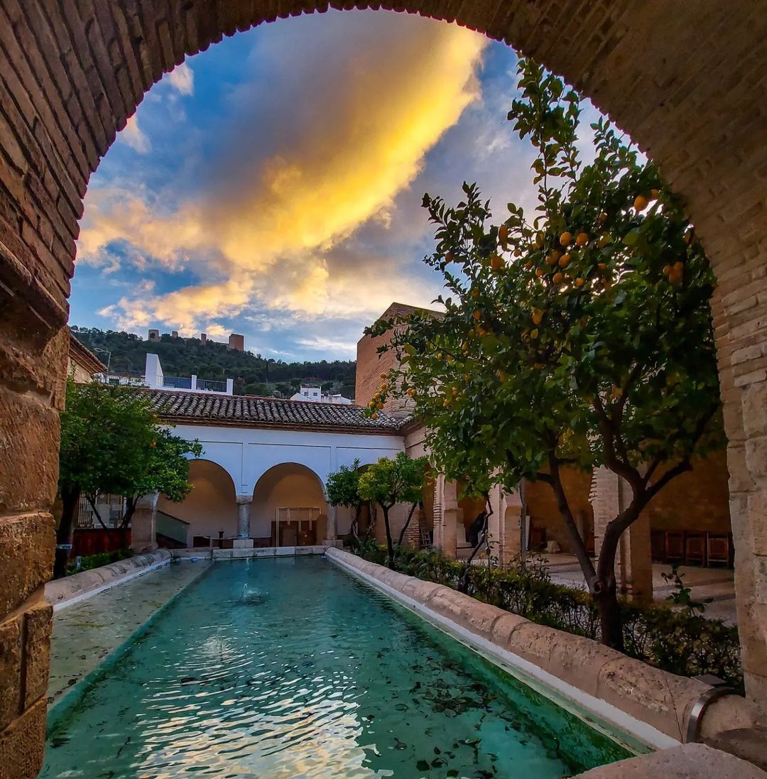 Manuu 💜🤍 tweet media