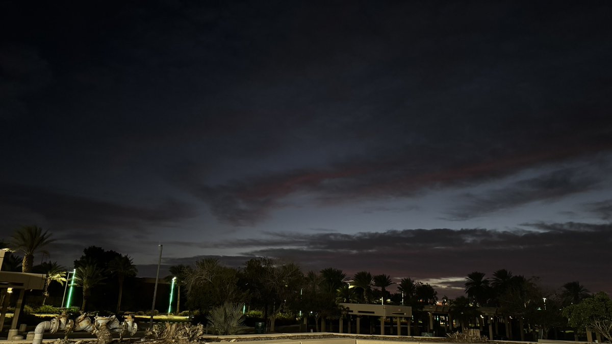 Sara 🫧 tweet media