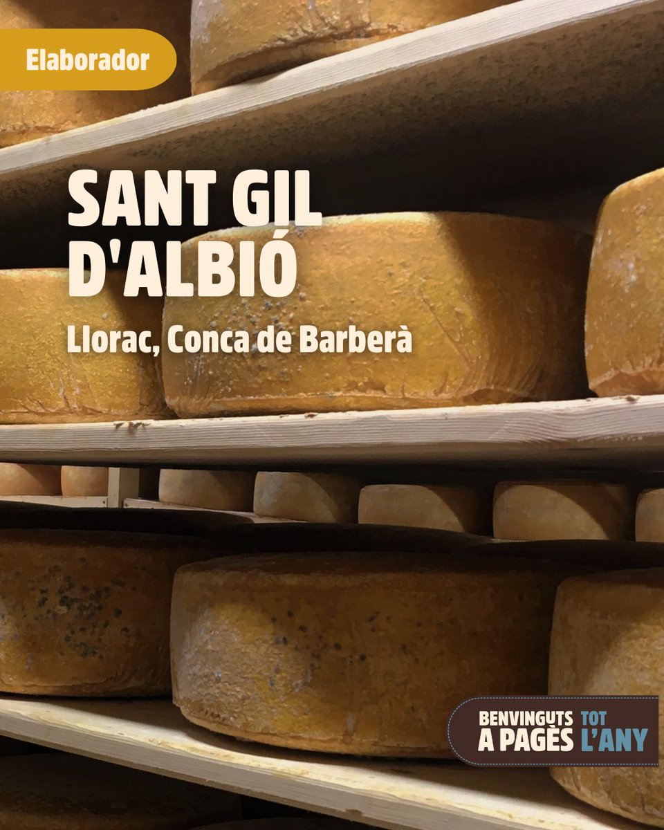 Benvinguts a Pagès tweet media