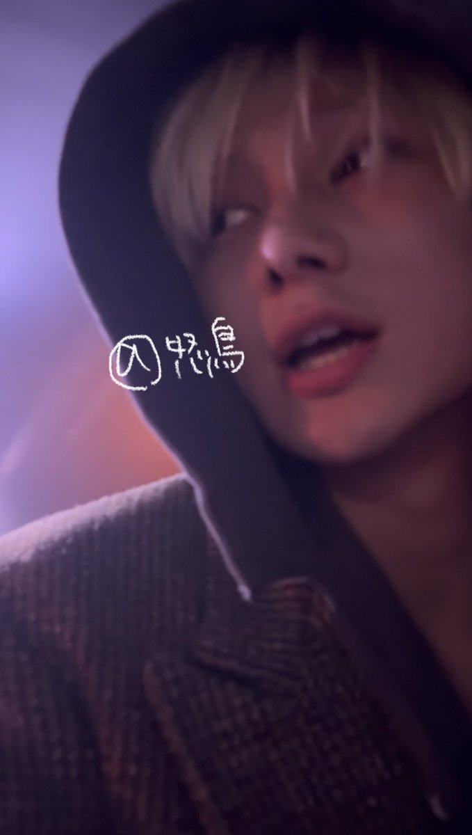 怒鳥(どとりだよ)(マーティン命名) tweet media