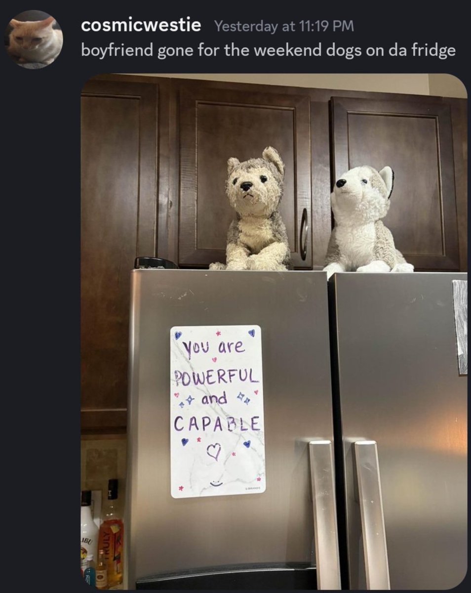 DSQuay's tweet image. serena's really living it up while she's home alone