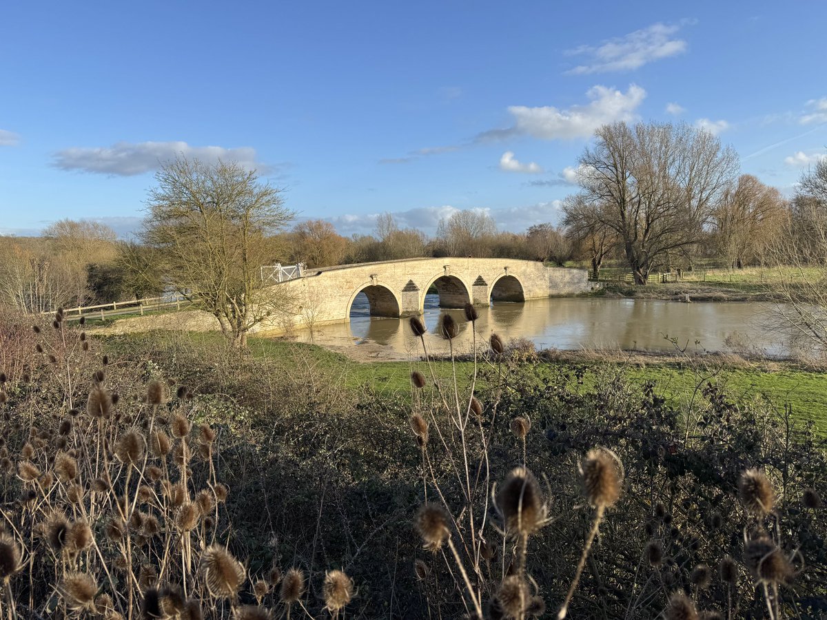 Nigel Pepper tweet media