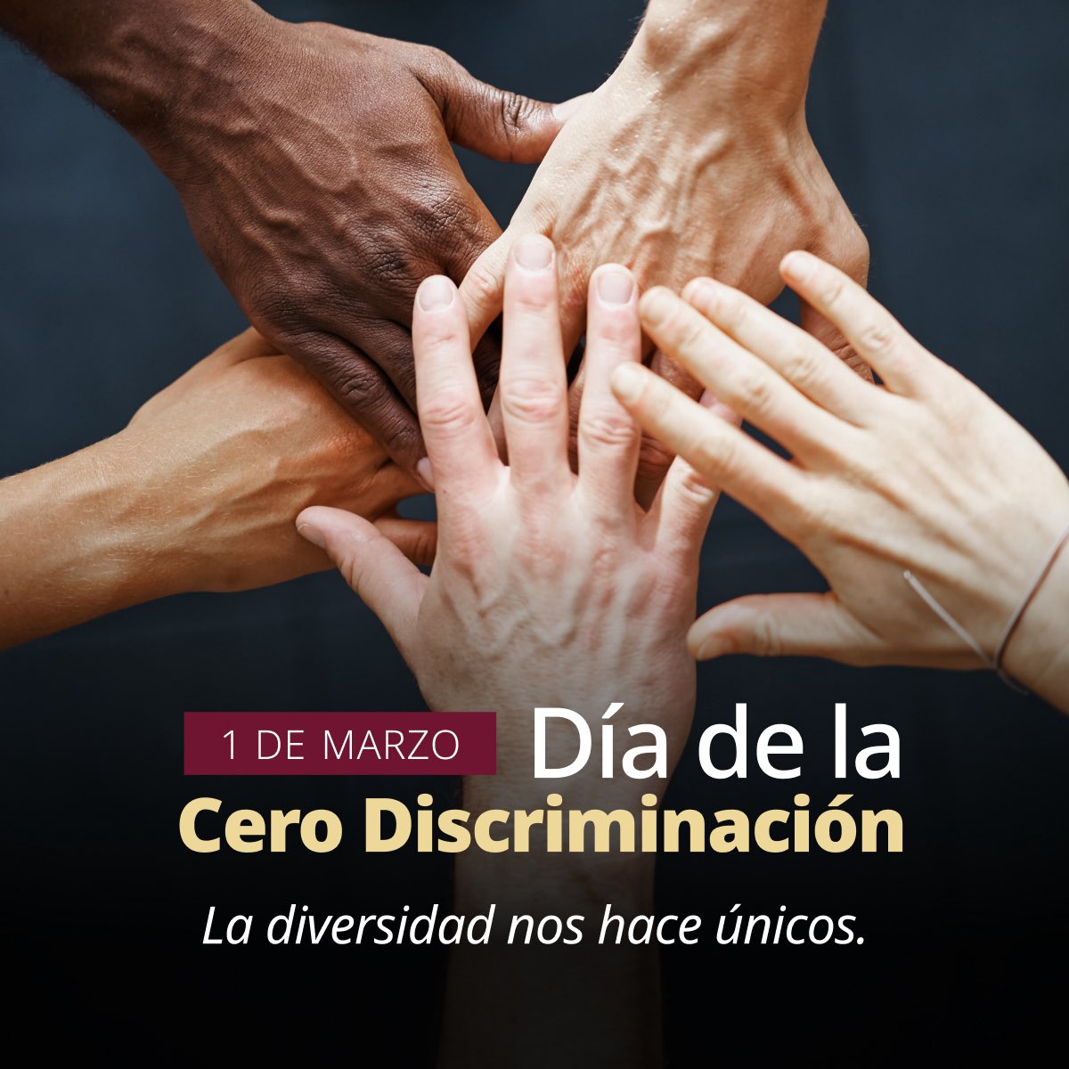 SSalud_mx's tweet photo. 1 de marzo I Día de la #CeroDiscriminación 

Un mundo sin discriminación es posible 
En el Día de la Cero Discriminación, reafirmamos nuestro compromiso con la igualdad, la empatía y el respeto. 🫱🏽‍🫲🏼

Infórmate, reflexiona y actúa. La discriminación nos afecta a todas y todos. Juntos, podemos marcar la diferencia. 🫶🏼