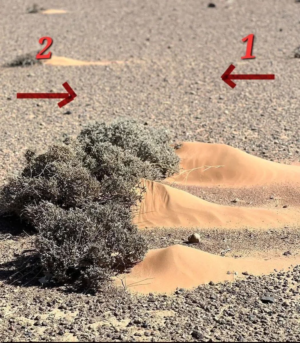 في رأيكم، ما هو الاتجاه الذي كانت تهبّ منه الرياح في هذه الصورة؟ هل هو الاتجاه (1) أم الاتجاه (2)؟
إجابتكم  تهمنا 🌹🌹
#savas 
#متابعه_ريوت_إعادة_تغريدة 
#ارباح_x 
#Khamenei