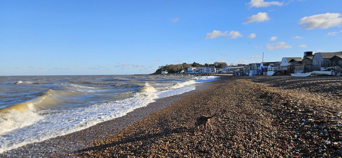 Vicky Newham / Izzie Harper. tweet media