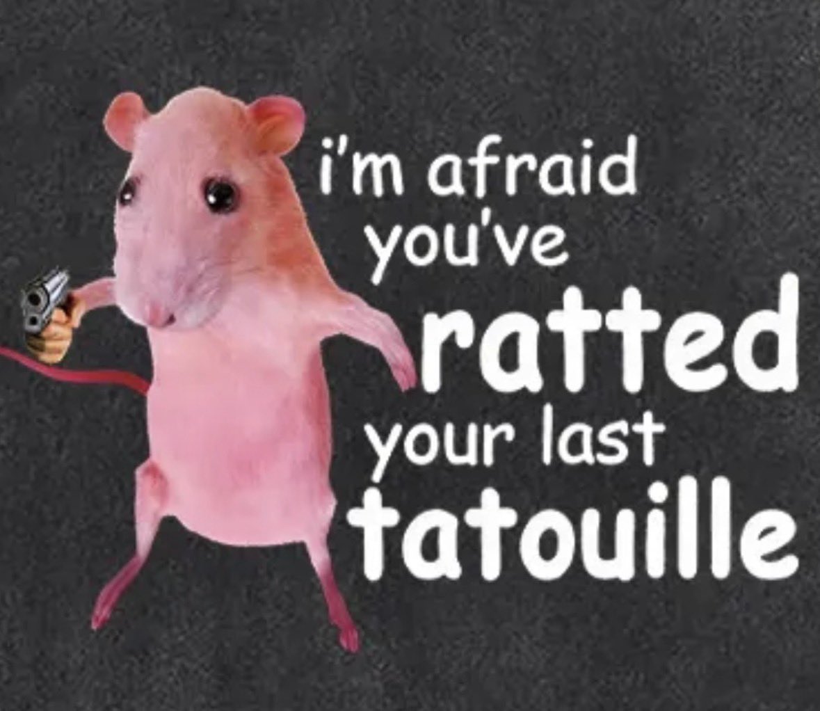 raccoon aesthetic. tweet media