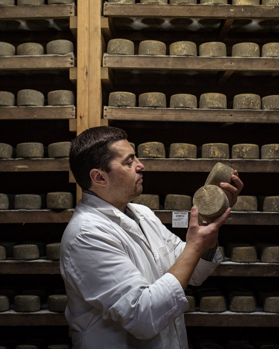 Benvinguts a Pagès tweet media