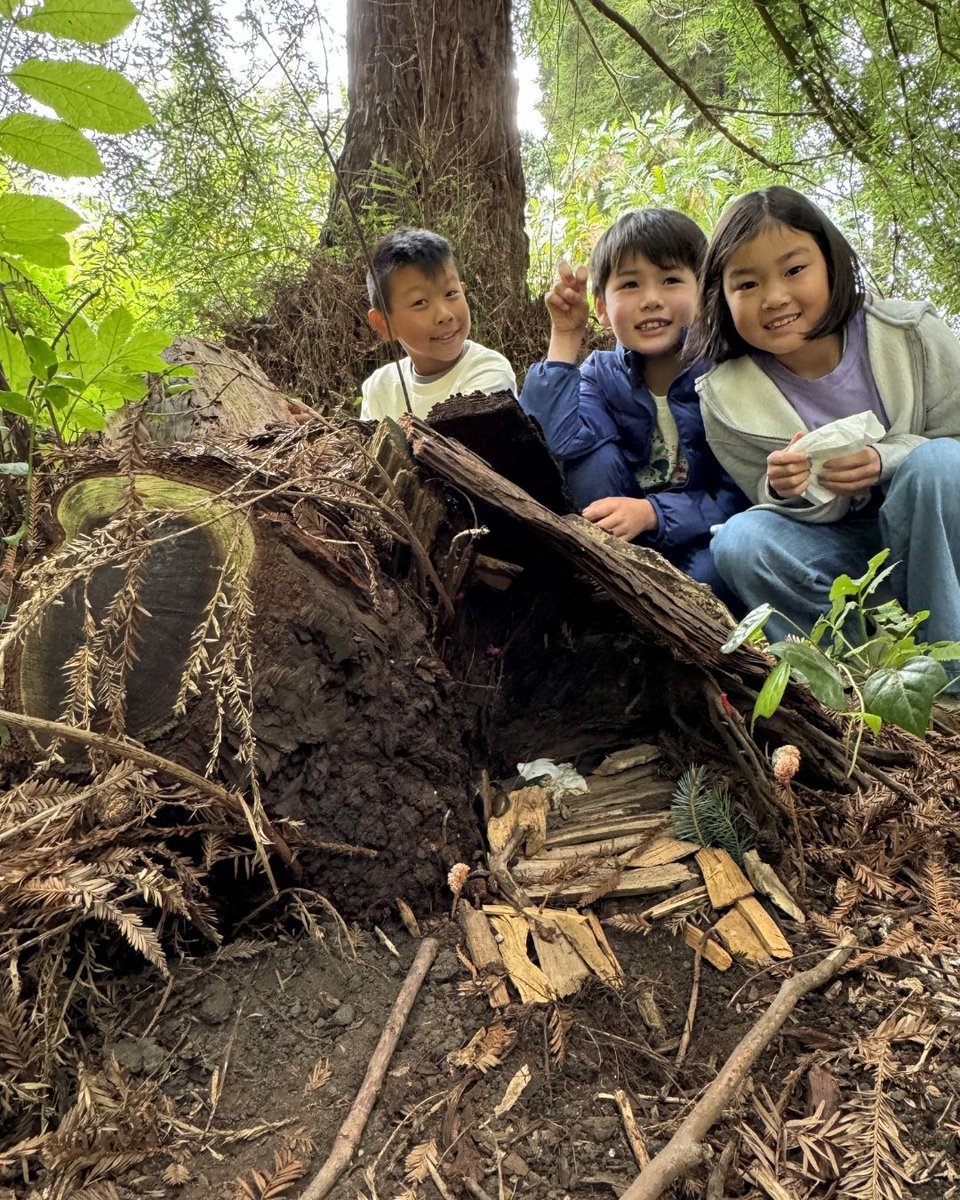 Gardens of Golden Gate Park tweet media