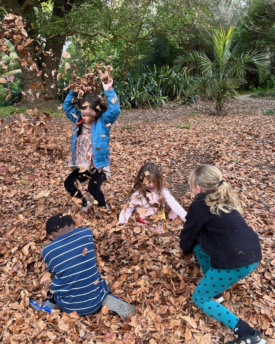 Gardens of Golden Gate Park tweet media