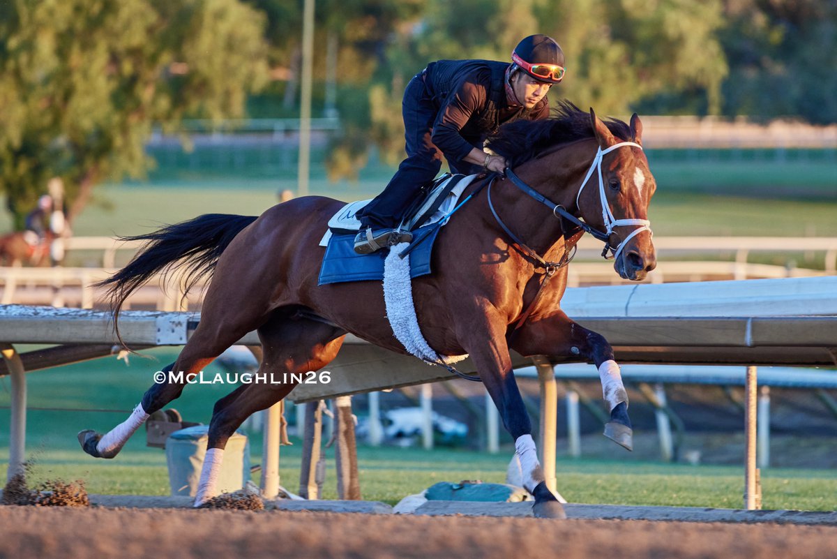 J McLaughlin Safford tweet media