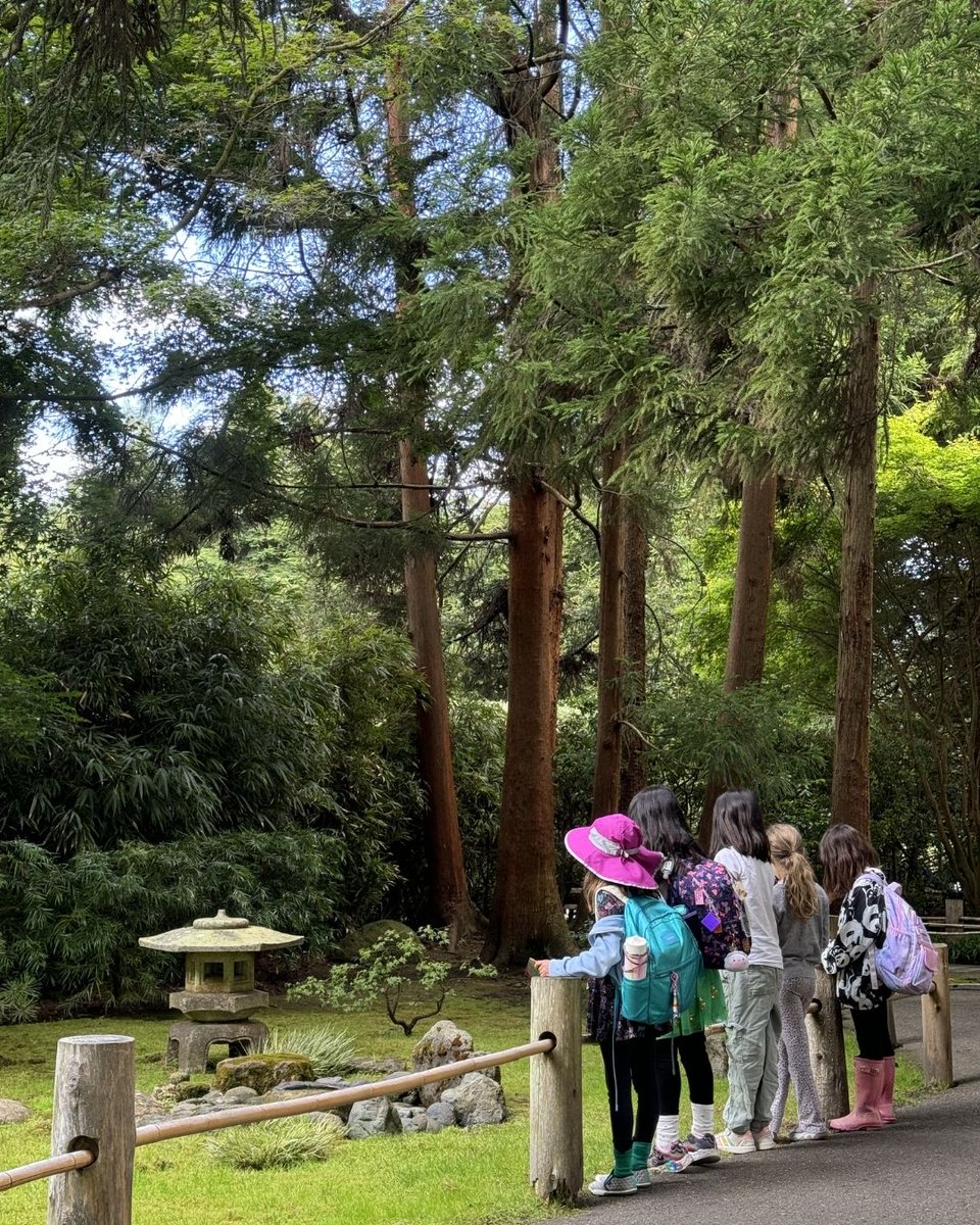 San Francisco Botanical Garden tweet media