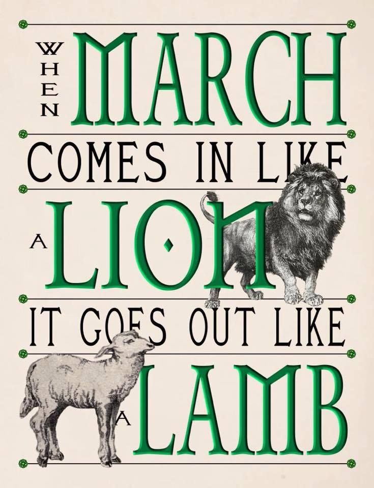 SFAgentTim's tweet image. Welcome March!  Will you come in like a lion or lamb? #TalktoTim #StateFarm #WelcomeMarch
