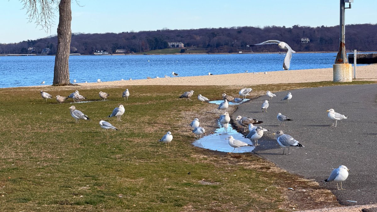 mere_sr's tweet photo. Experience the tranquility of winter https://t.co/NIZKtj95k2