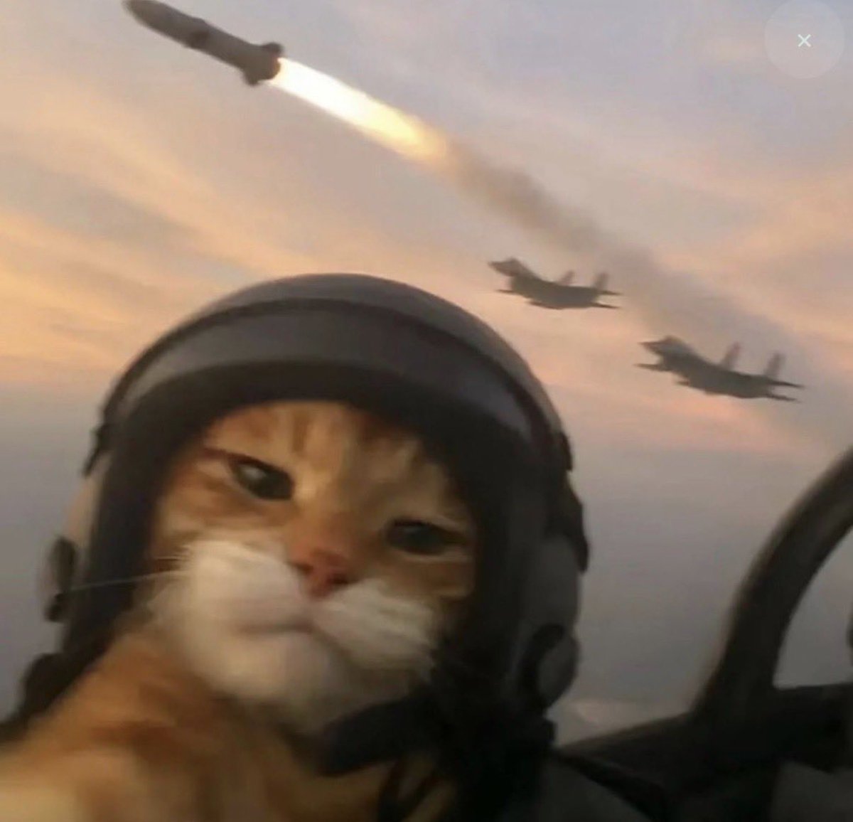 It only a matter of time before this sky rockets

$Jet

CA: 

3dG3rrEFZjzUmKEKzy4BWA9U8o7ZzVxZowsZNgtNpump

#memecoin  #jet  #war