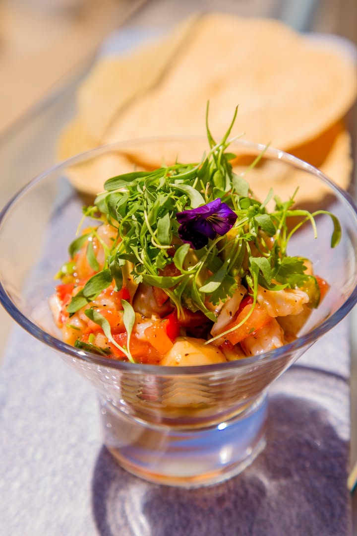 CasaDoradaCabo's tweet photo. Fresh, vibrant, and full of flavor! 🌊🍋 Dive into the taste of the ocean with our irresistible ceviches, crafted with the freshest ingredients and a touch of coastal magic. Which one are you craving today?
.
.
.
#ceviches #seafood #elrinconculinario #casadoradacabo #loscabos https://t.co/tjivChOXWt