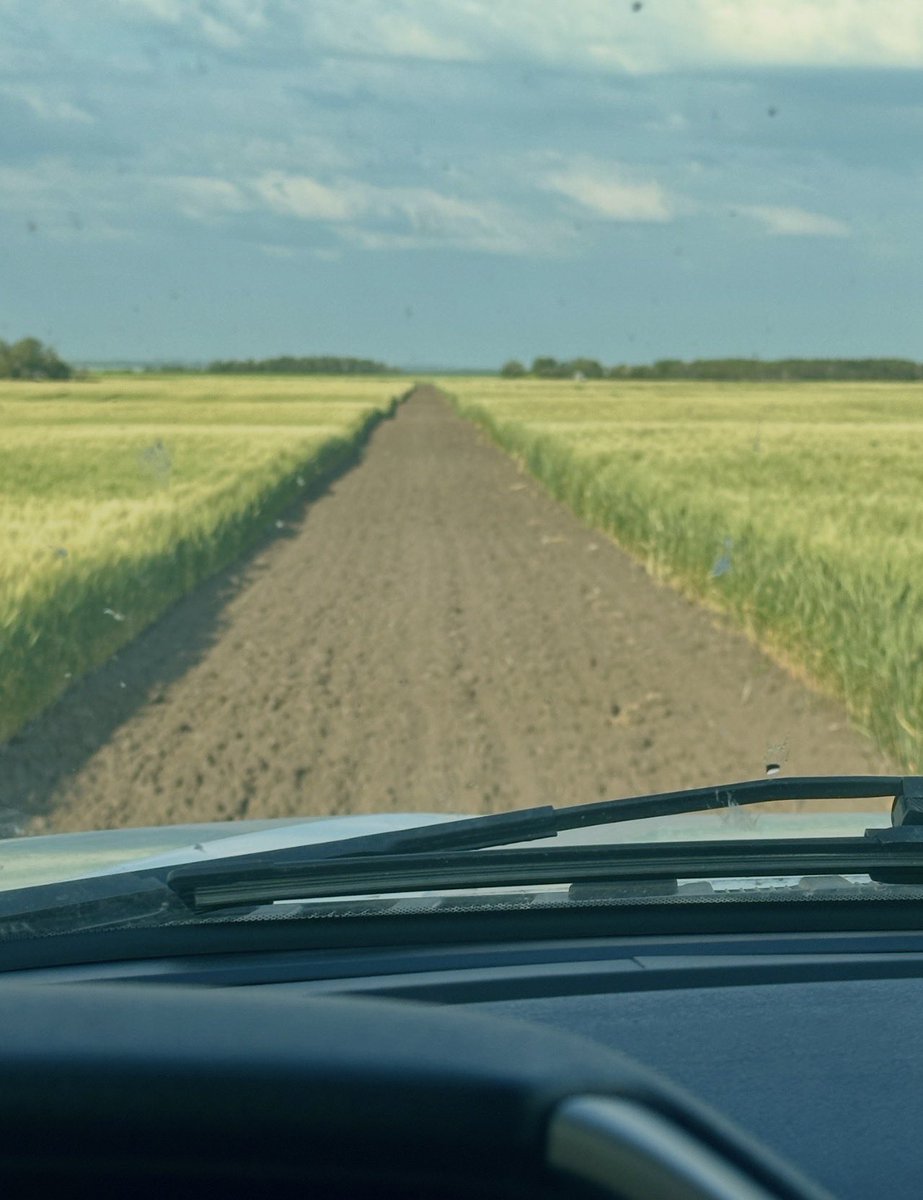 David Olson tweet media